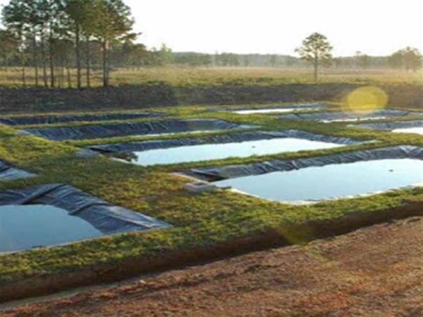 Tanque de geomembrana para piscicultura -2