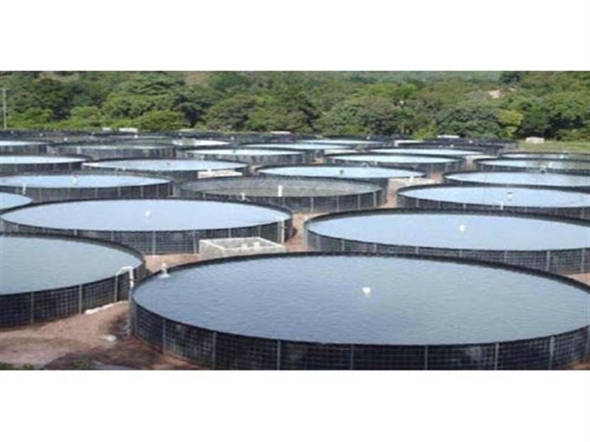 Tanque suspenso piscicultura -1