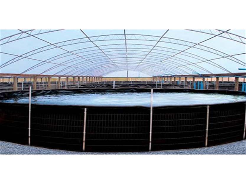 Tanque suspenso piscicultura-2